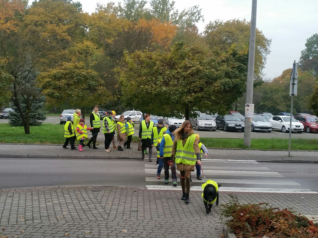 20161018 083932-1024x768